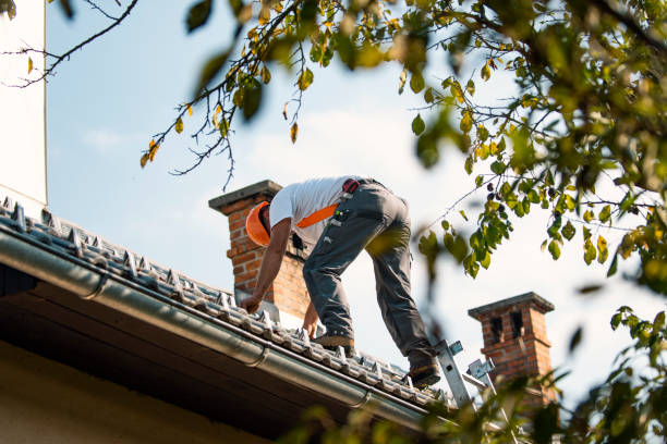 Best Roof Gutter Cleaning  in Hillcrest, CA